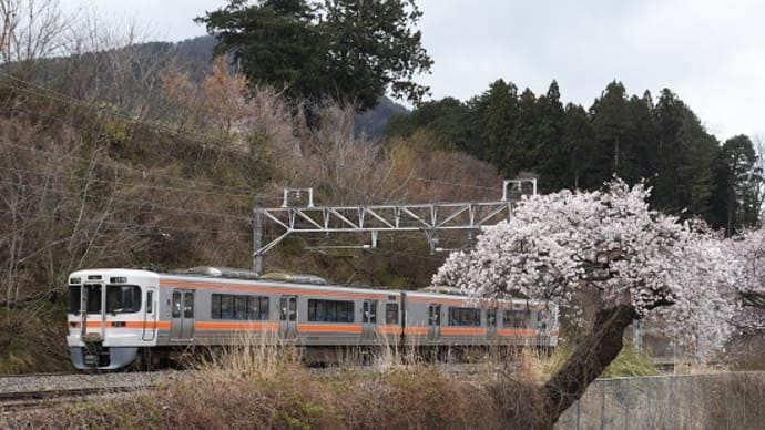 4月19日撮影　中央西線は洗馬駅の桜と絡めて