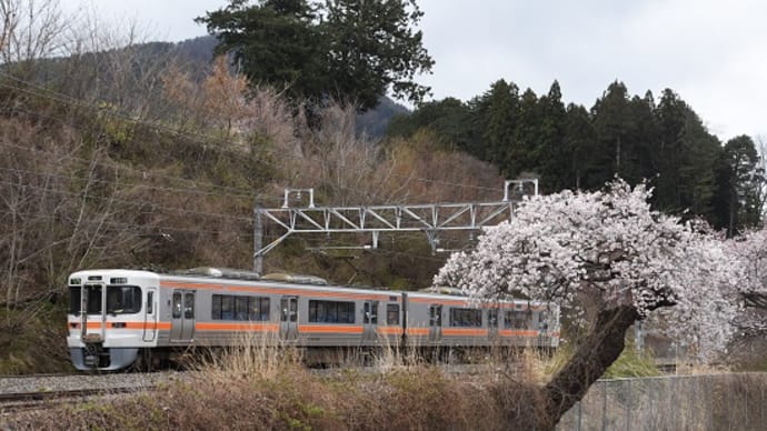 4月19日撮影 中央西線は洗馬駅の桜と絡めて