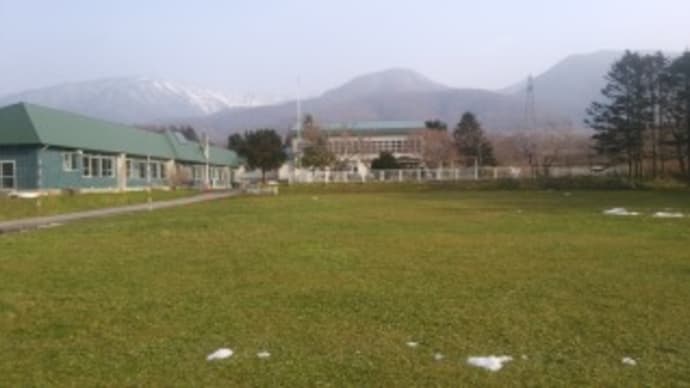 雪が溶けました