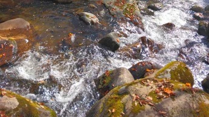県北の紅葉は赤和瀬渓谷@岡山県