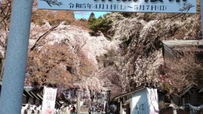 お天気続きです