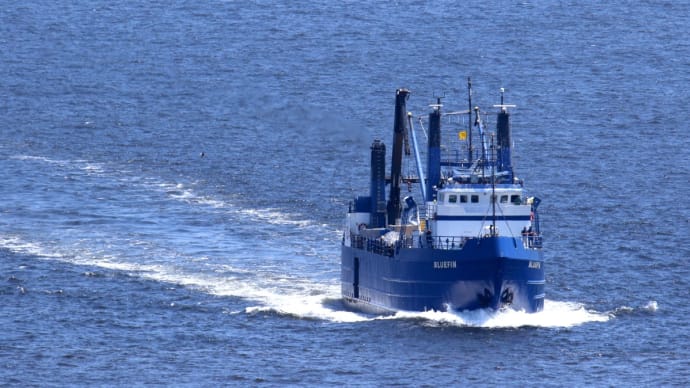 作業船 「 BLUEFIN 」 （ USA / NOAA・North Wind ） 2023年7月 横浜