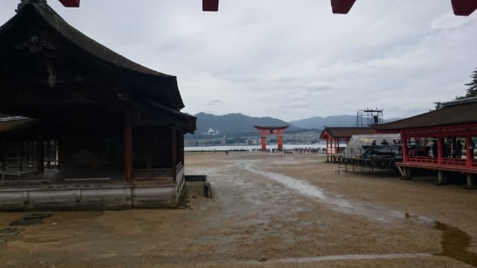 マイお誕生日@宮島