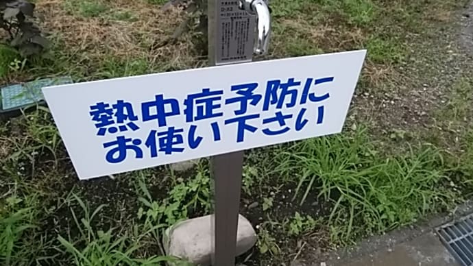 「もう誰も死ぬな」半袖ゼレンスキー/青萄