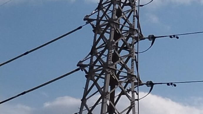 散歩時の景色。体操教室のお陰。
