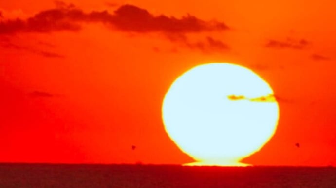 達磨太陽(朝陽) 2024年だるま朝日12号 5月25日