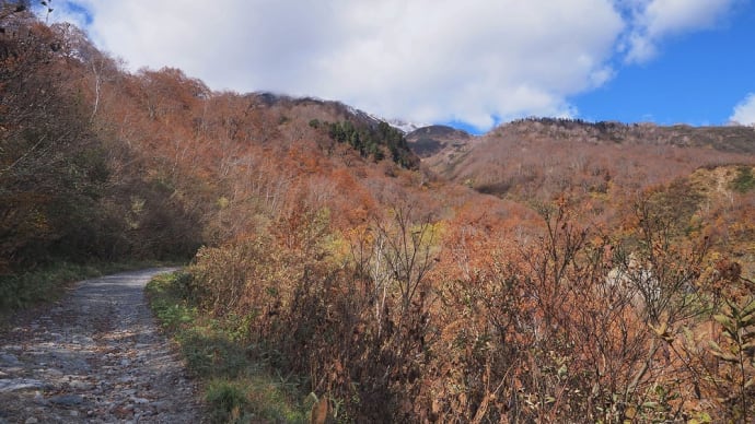 ★秋の白馬岳へと続く林道を行けるところまで歩く② 2022