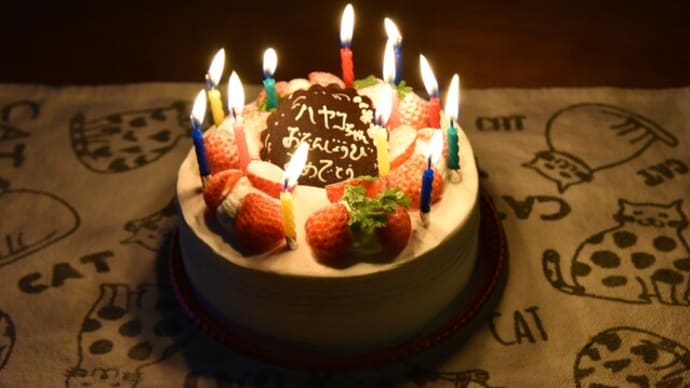 12回目の誕生日会