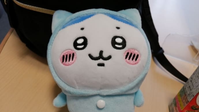 あなたのお名前なんてぇーの?