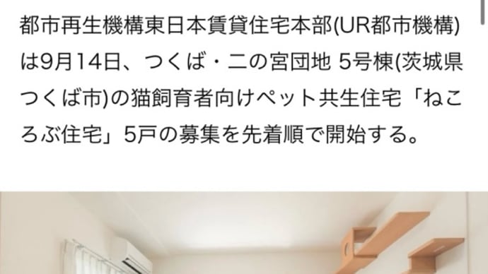 URや公営住宅の猫問題を見直していきませんか?