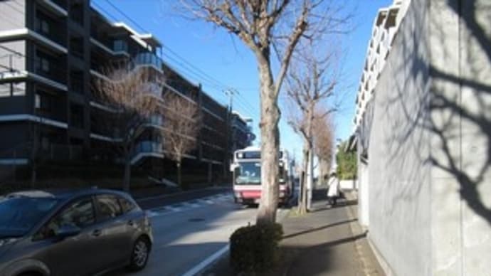 12/21 ハマトレキャスト~横浜市立山内図書館