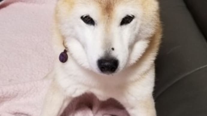 クリンへの想いは尽きなくて・・・107