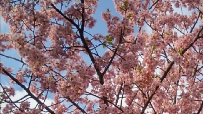 今の心境 吉田拓郎の歌