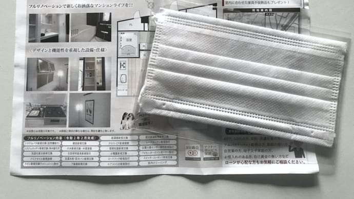 ポストの中に不動産広告のチラシが。