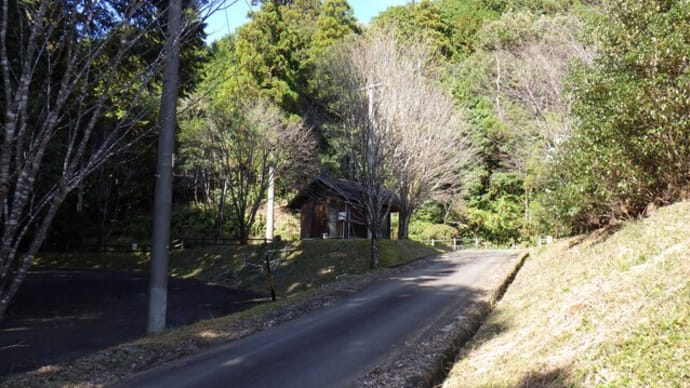 本郷浅間山で外珈琲