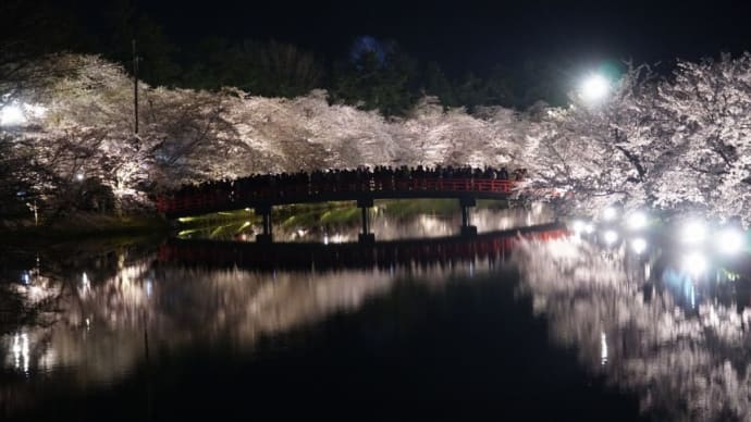 2025桜名所・弘前公園 宵~ライトアップ