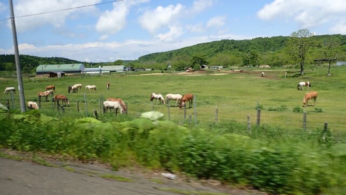 道東ネイチャー旅 Ⅰ 霧多布の湿原&ラッコ
