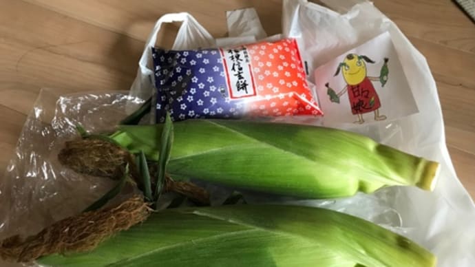 これがカンカンムスメ〜