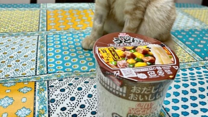 麺類三昧は続く。