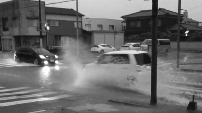 1週間ほぼ雨雨雨