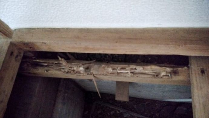 新畳入れ替え工事とシロアリ被害の床板修繕