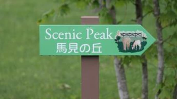 Scenic Peak