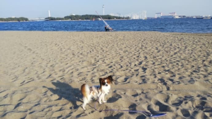 横浜の「海の公園」へ