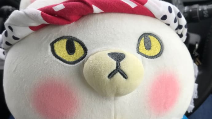 今日で!