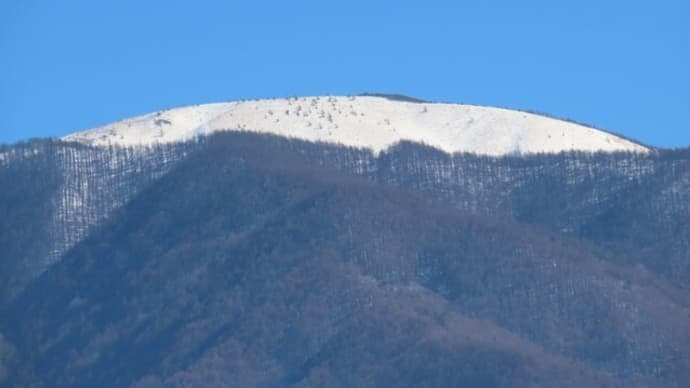 鉢伏山 2023/02/05