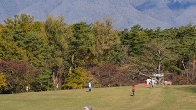 個展展示写真に解説文を。