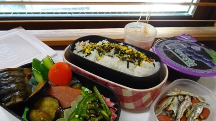 塩焼き鯖のお弁当と、弾丸北海道旅行Part.1