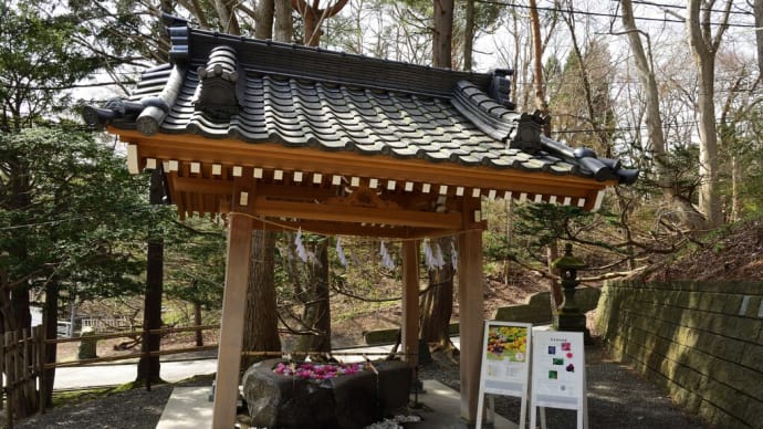4/27 千歳神社花手水