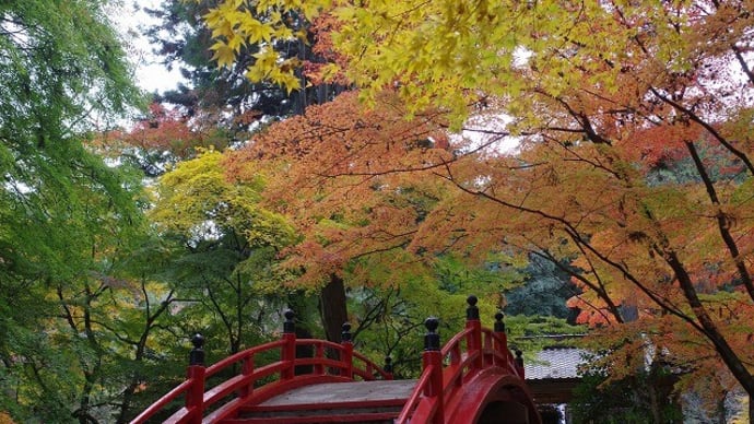 今高野山の紅葉 (世羅町)