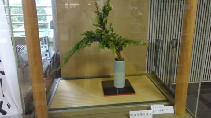市役所挿花5月7日