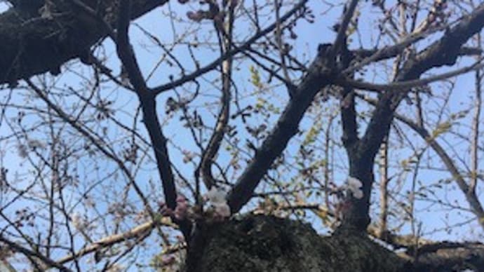 学校が利権の塊だったとは