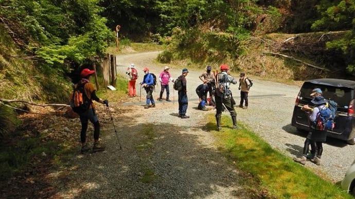 ５０名山整備　「三ノ丸」　坂の谷から殿下コース
