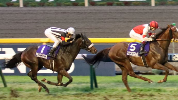 2019年ジャパンCの結果、払い戻し、レース振り返り