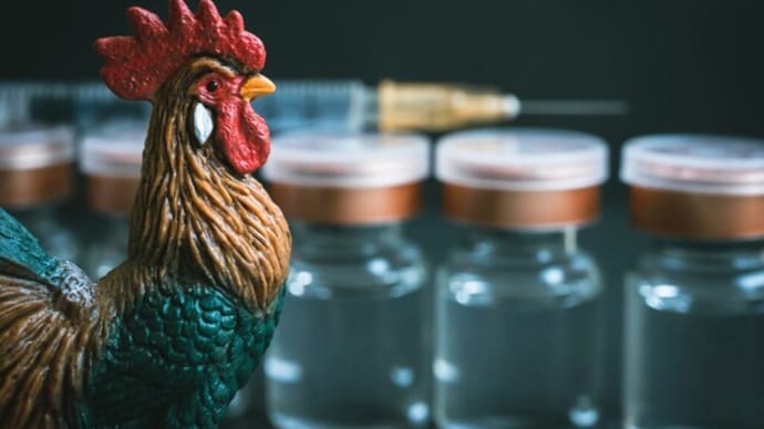鳥インフルH5N1は懸念すべき? 危機感煽る報道の背景とは