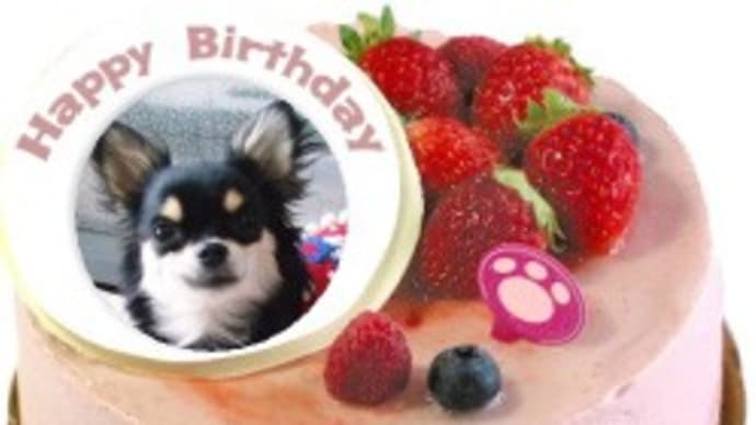 もうお誕生日はこないんだね