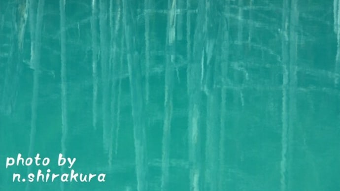 青池