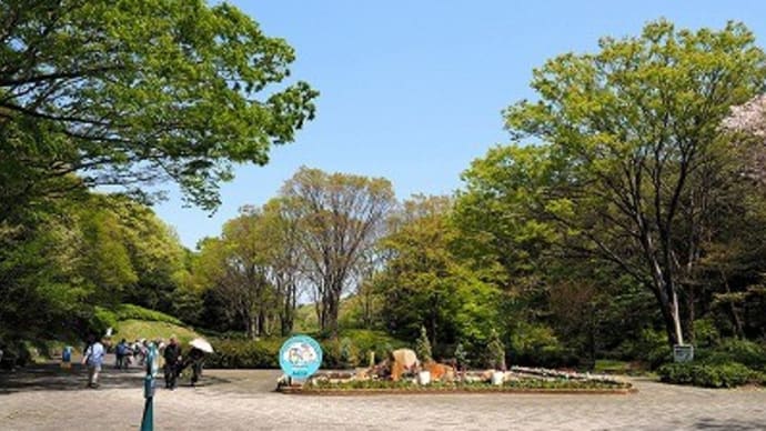 フデリンドウやヒメハギなど~武蔵丘陵森林公園①~