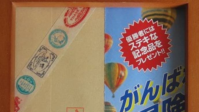 マイクラ ブラック(生け文具3805)