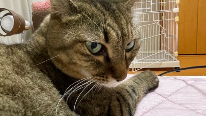 116日目、木曜日は歯磨きデー