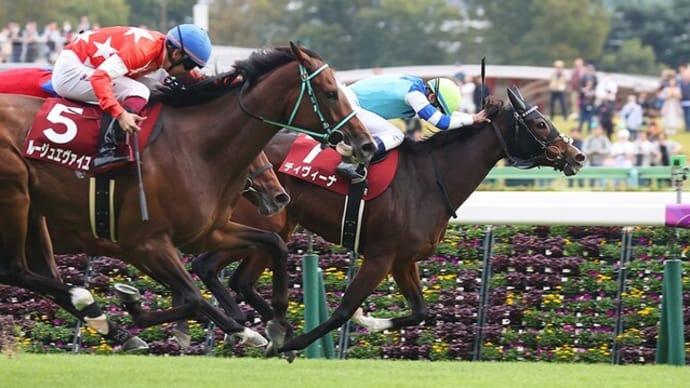 【予想】 第72回 府中牝馬ステークス G2