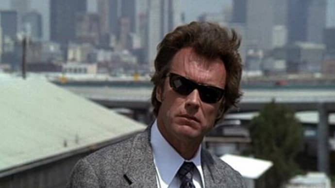 Polarized Dimming Glasses