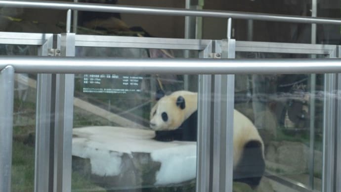 アドベンに行ってきたよ5