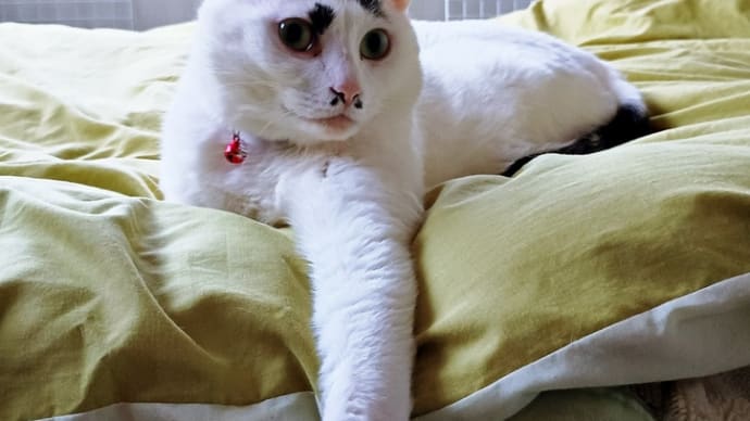 どーよ