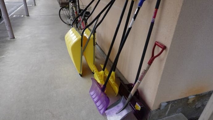散歩写真 23/01/25