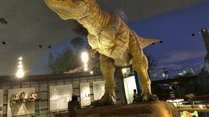 「福井→金沢」一泊二日ひとり旅(恐竜に会いたくて)・・・3「福井恐竜博物館」で大迫力の恐竜に会った~~~!(^^)
