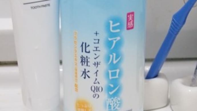 一か月の生活費＆生きるスキル＆車中の人